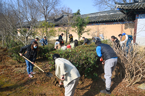 web黨員、團員共同線下植樹.jpg