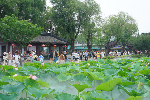 無(wú)錫景區(qū)眾多游客賞荷拍照.JPG