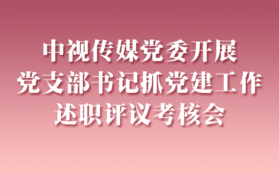 中視傳媒黨委開(kāi)展黨支部書(shū)記抓黨建工作述職評(píng)議考核會(huì)